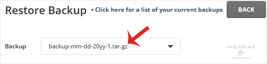 directadmin-dropdown-restorechose.gif