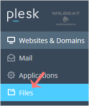 plesk-client-files-menu.gif