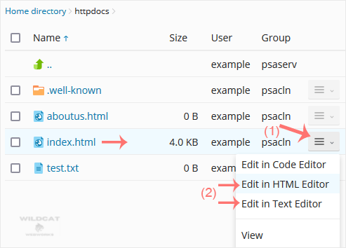 plesk-filemanager-edit-file-contextmenu.gif