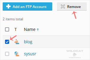 plesk-remove-ftp-account.gif