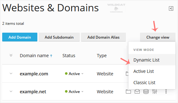 plesk-view-mode-in-dynamic-list.gif