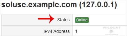 solusvm-status-detail.gif