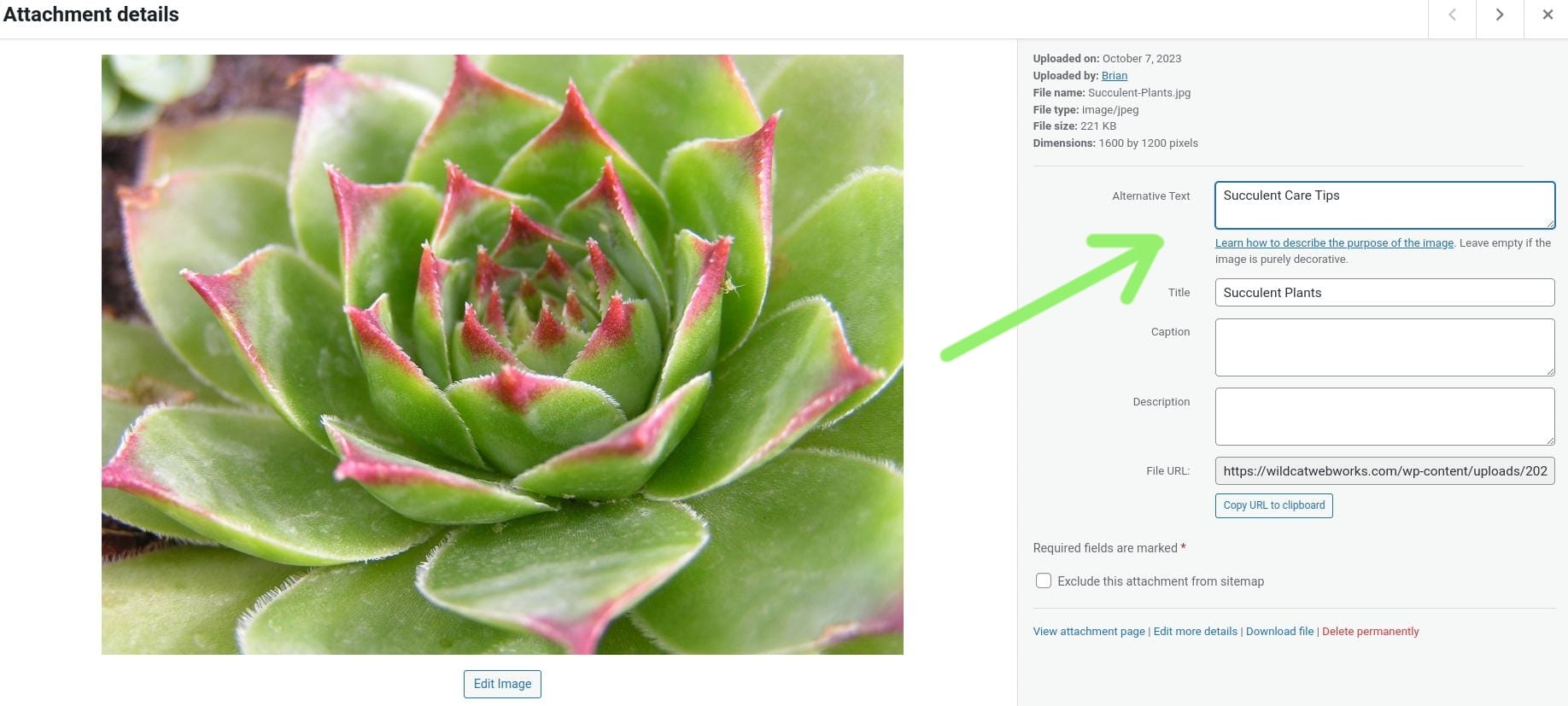 Keyword Placement in SEO