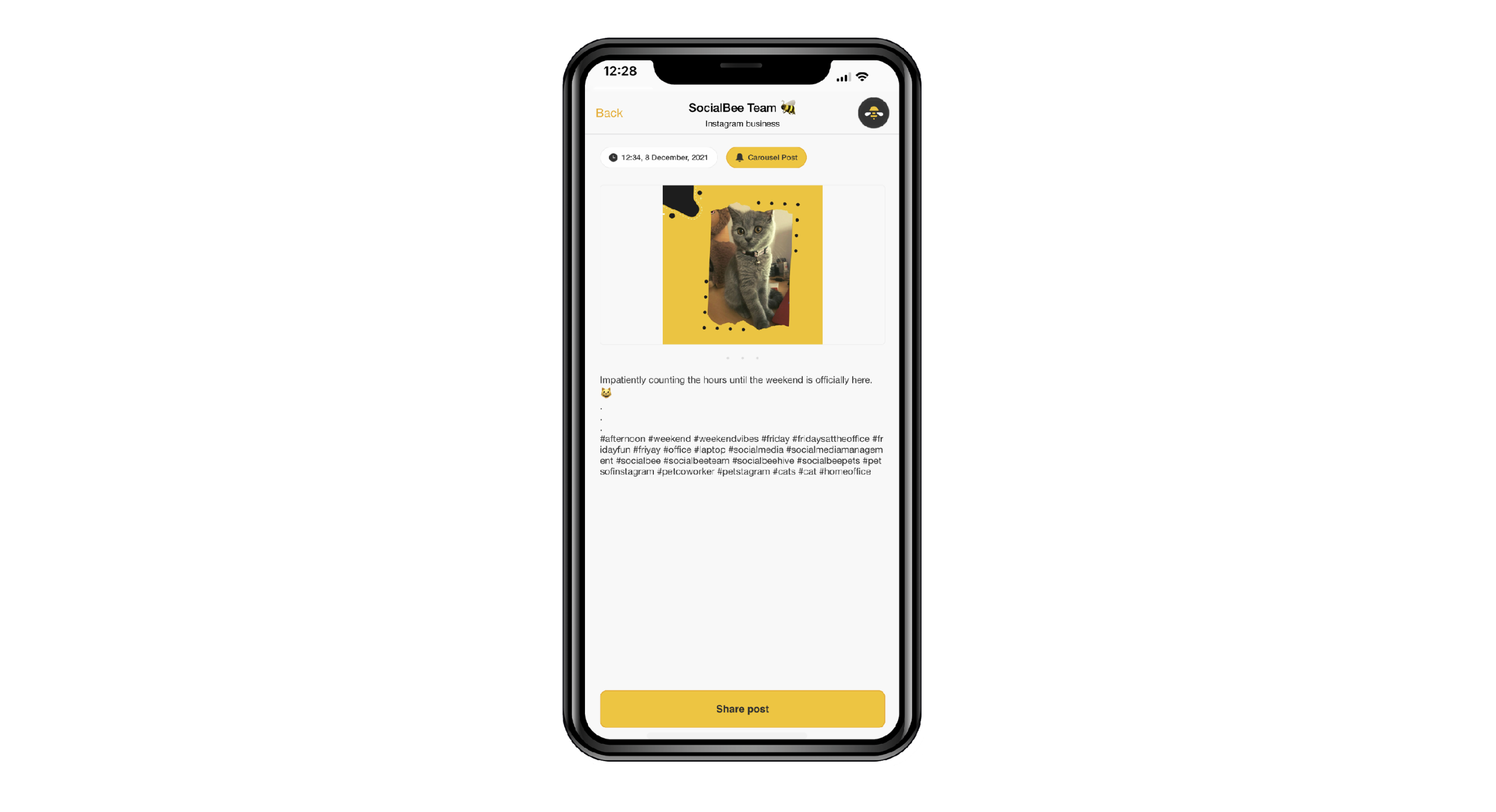 Mobile scheduling view from SocialBee help docs)<br />
Alt text: SocialBee mobile app on smartphone displaying post scheduling and management features for on-the-go social media handling